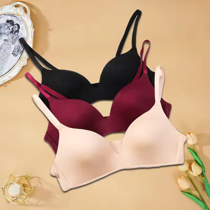 Women's Smooth Padded Everyday Bra – Comfort Fit (Black, Skin, Pink, Gray, Maroon)